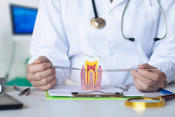 Best Emergency Treatment for Oral Infections in Sumiton, AL